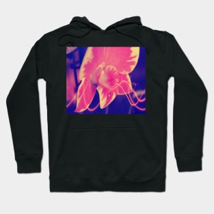 Pink Orchid Photo Hoodie